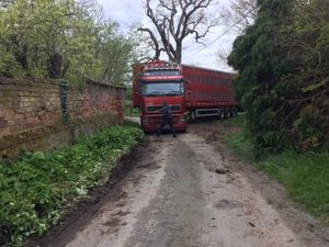 Supporting image for story: Not such an egg-cellent idea