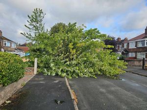 Supporting image for story: Storm Lilian brings chaos as high winds blow down trees and block roads