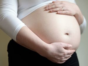 Supporting image for story: Scientists have created an 'artificial womb' in the lab that could help keep premature babies alive