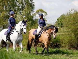 Supporting image for story: Staffordshire residents cut back on food for themselves to care for their horse