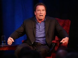 Supporting image for story: Fly with ‘bulging legs’ has been named after Arnold Schwarzenegger