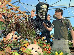 Supporting image for story: Heaven or hell at Halloween in Shropshire?