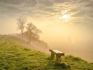 Supporting image for story: Serene Staffordshire snap reaches contest top 10
