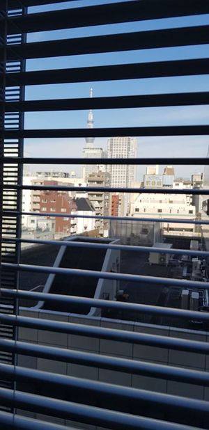 Alan shared the image from his hospital bed, with a view of the Tokyo Skytree. Photo: Alan Steele