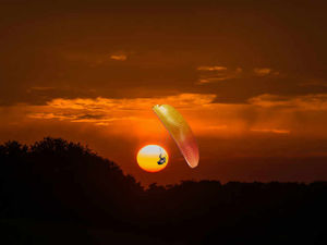 Supporting image for story: Valentine's Day 2017: Top unusual date ideas in the Midlands and Shropshire