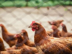 Supporting image for story: Andy Richardson: 'Lockdown has brought winners and losers'