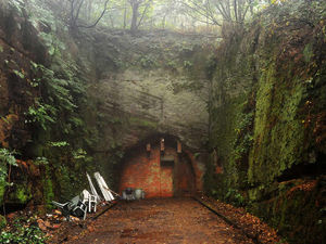 Supporting image for story: Pair to stand trial over alleged cannabis farm in Drakelow Tunnels