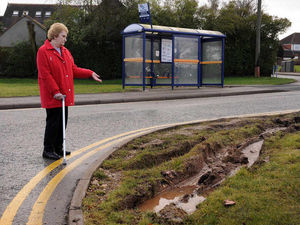 Supporting image for story: Gran vows to keep up 30-year Walsall island battle