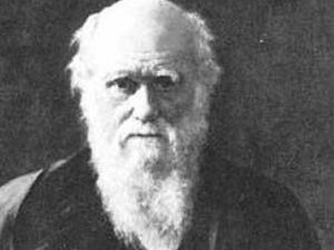 Supporting image for story: Darwin memorial lecture coming to Shrewsbury