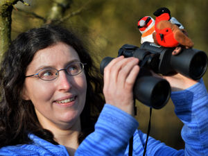Supporting image for story: RSPB Big Bird Watch coming to Sandwell