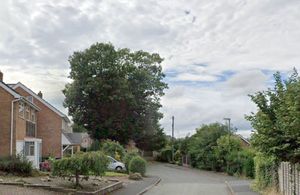 The lime tree sits at the end of Bostock Close in Admaston, Telford, and is next to another large tree - a red oak that is also protected by a TPO. Photo: Google