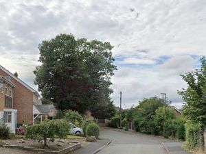 Supporting image for story: Plan to fell 'dangerous' Telford tree rejected despite neighbours' fear their 'lives would be endangered' if it fell