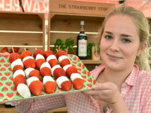 Supporting image for story: Crowds flock to Ludlow Castle for Spring festival - in photos