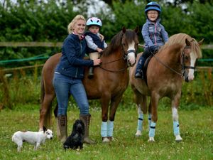 Supporting image for story: Annual Horse and Pony Show returns