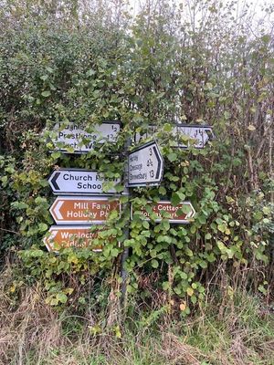 Signs are obscured by a hedge. Picture: Chris Naylor