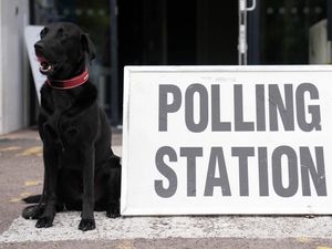 2025 local elections