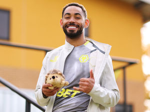 Supporting image for story: Wolves make the final of the Hobsons’ Hedgehog Cup!