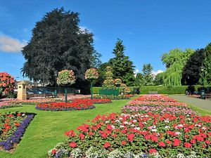 Supporting image for story: 17,000 new trees could be planted in Oswestry over next three years