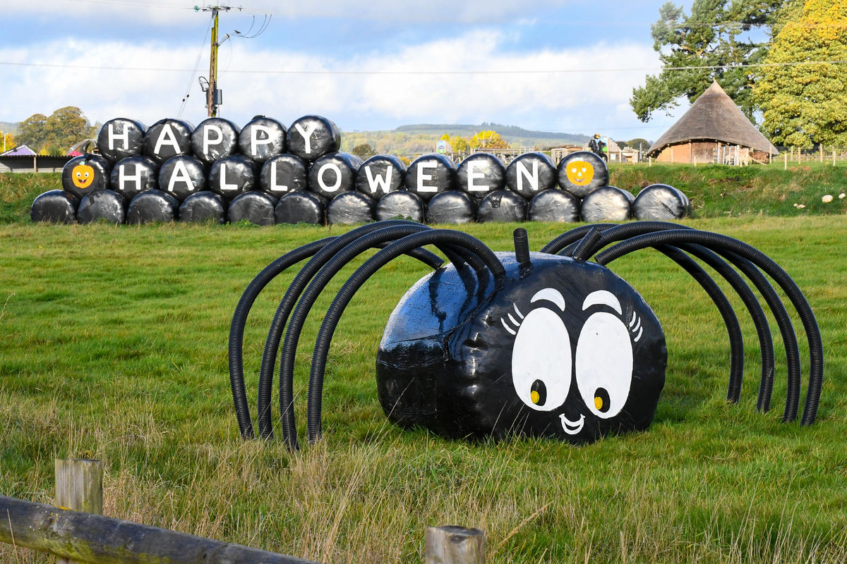Thousands of pumpkins head to Park Hall Thousands of pumpkins head to Park Hall