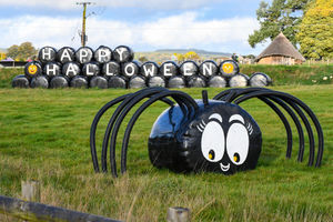 Halloween on the farm at Park Hall