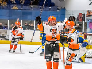 Supporting image for story: Telford Tigers duo miss rest of season