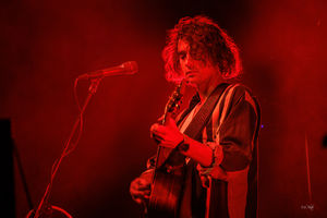 Dan Owen will be playing for a home town crowd at the Shrewsbury Folk Festival. The event takes place at the West Mid Showground over the August Bank Holiday weekend