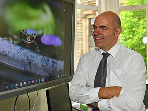 Supporting image for story: GALLERY: Winner of Wolverhampton Photography Competition announced