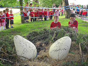 Supporting image for story: Egg-citing dino discovery for Shrewsbury pupils