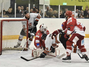 Supporting image for story: Ruthless Telford Tigers set title pace with win over Swindon Wildcats