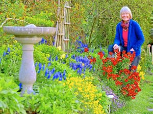 Supporting image for story: Shropshire gardens will make visitors green with envy