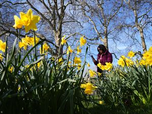 Supporting image for story: Thursday could be warmest day of year so far with temperatures of 19C forecast