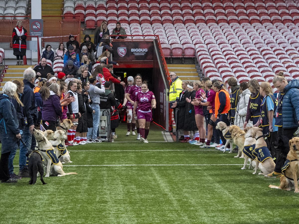 Guide Dogs puppies form guard of honour at Premiership Women&rsquo;s Rugby match