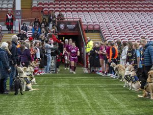 Supporting image for story: Guide Dogs puppies form guard of honour at Premiership Women’s Rugby match