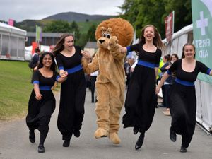 Supporting image for story: Llangollen Eisteddfod postponed 
