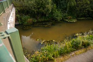 A toxic chemical spillage has leaked into the canal at Pleck.