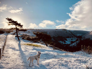 Supporting image for story: Snow and ice continues to bite region as record low temperatures reached in UK