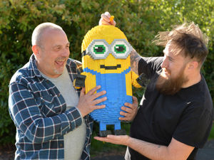 Supporting image for story: Racking up Lego fun at model brick show to raise money for children's hospital