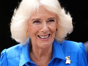 Supporting image for story: Queen to be made vice admiral in recognition of her support of the Royal Navy