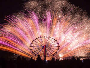 Supporting image for story: Fireworks spectacular at Alton Towers
