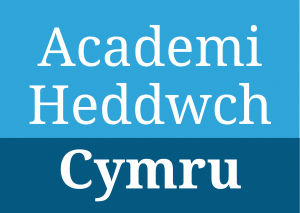 Academi Heddwch, Cymru are bringing their team to Llangollen.