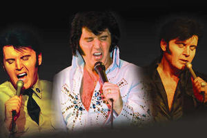 A Vision of Elvis
