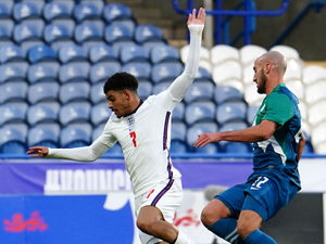 Supporting image for story: Q&A: Why Morgan Gibbs-White could be the golden boy Wolves need