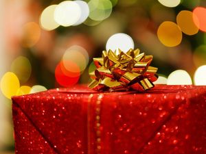 Supporting image for story: Children's presents stolen from home just eight days before Christmas