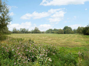 Supporting image for story: Planning policy change could bring benefits