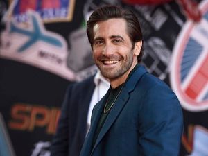 Supporting image for story