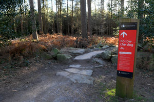 The forest has been praised by people living in and around it