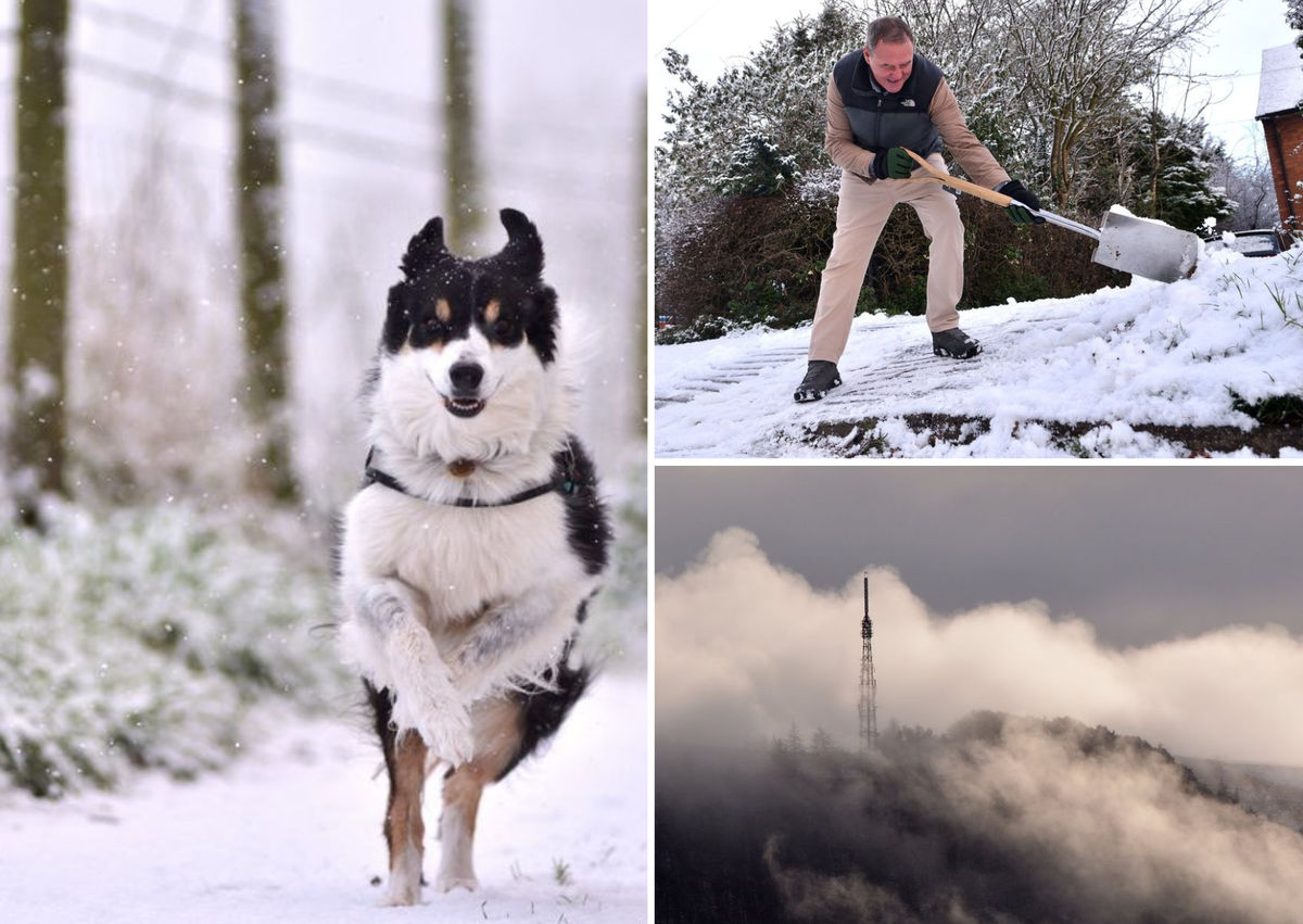 20 fabulous photographs as snow begins to fall again across Shropshire