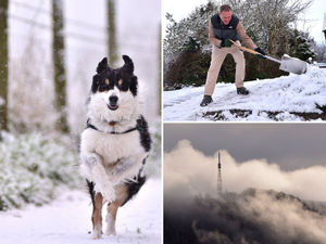 Supporting image for story: 20 fabulous photographs as snow begins to fall again across Shropshire