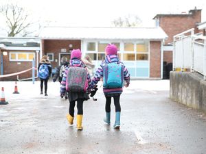 Supporting image for story: What are the plans for reopening schools and colleges in England?