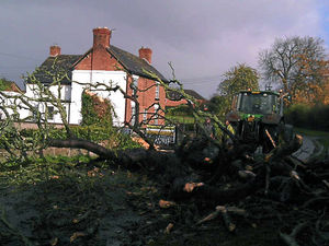 Supporting image for story: Chaos on Shropshire roads as strong winds bring down trees